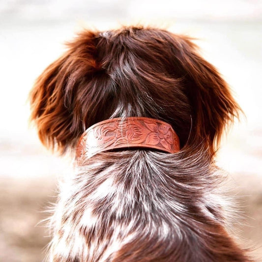 Floral tooled dog collar